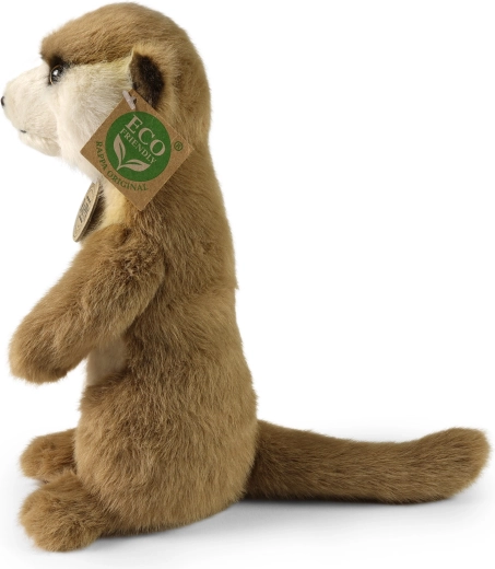 Realistische details en stabiele houding