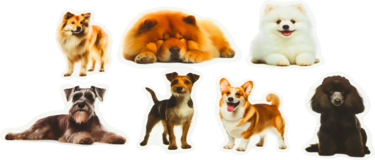 Transparante achtergrond voor een strakke look