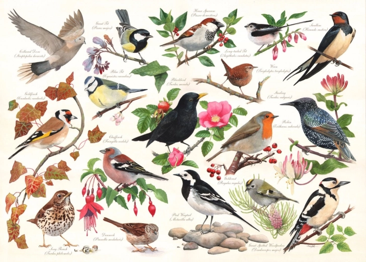 Puzzel Vogels in de Tuin - 1000 Stukken