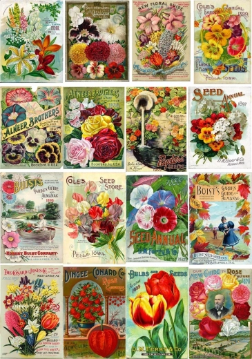 Enjoy puzzel vintage zakjes met bloemzaden 1000 stukjes