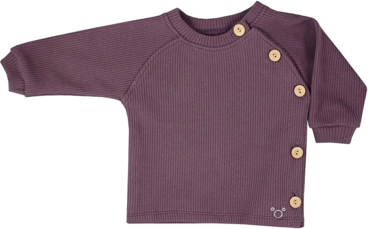 Babyshirt met lange mouwen Koala Pure paars – Paars – ean 7532