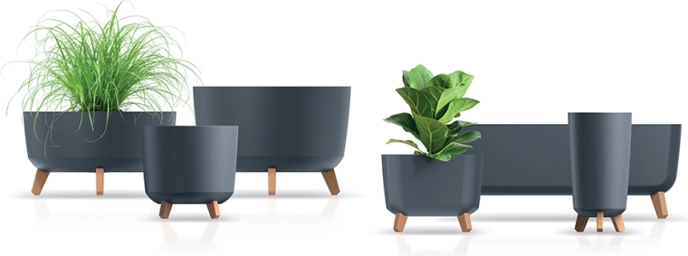 Betere omstandigheden voor wortels