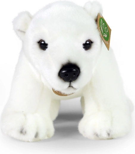 Zachtheid om verliefd op te worden