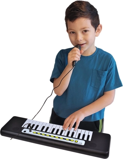 Microfoon voor muziek en zang