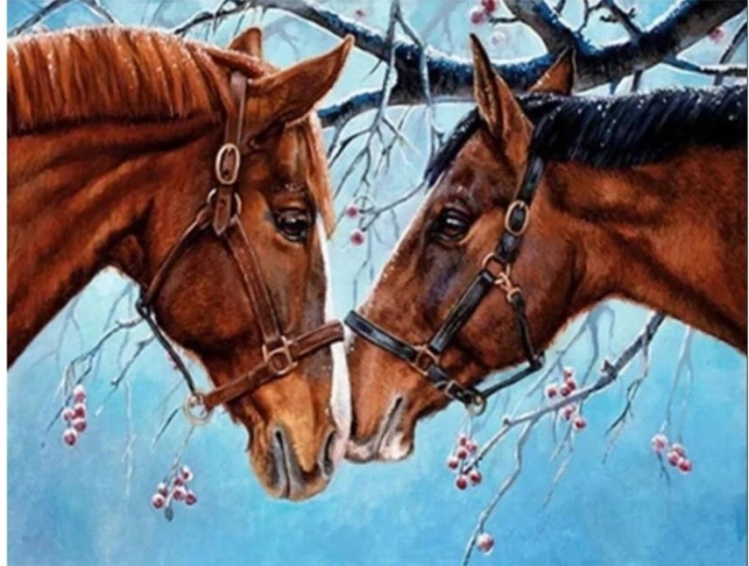 Schilderen op nummer op canvas – Twee paarden 50 × 40 cm