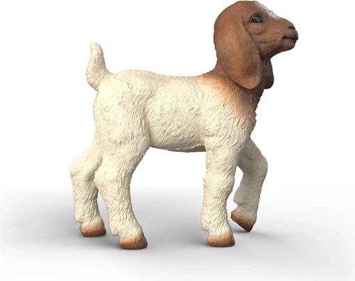Typische kleuring van de boerbok