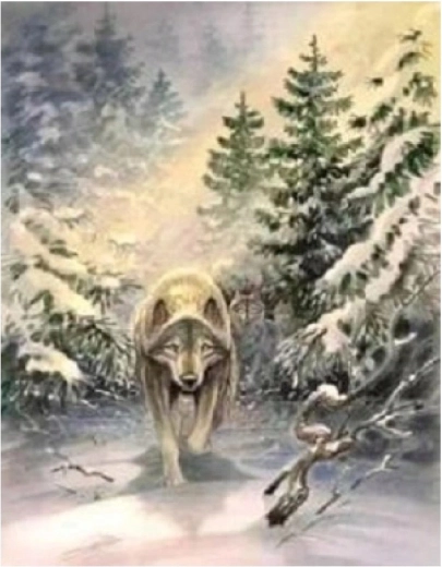 Norimpex schilderen op nummer Wolf in het bos 40 × 50 cm