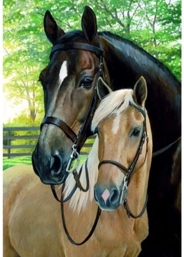 Schilderij om te schilderen op nummer op frame 40 × 50 cm – paarden