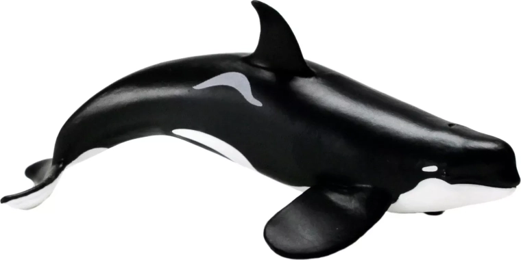 Safari Ltd. figuur orka (type D)