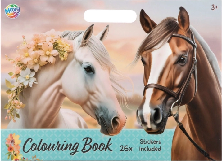 Kleurboeken met paarden en stickers 26 × 35,5 cm, 25 vellen