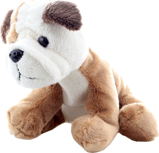 Veilig voor de allerkleinsten (0+)