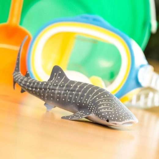 Leren door spelen over zeedieren