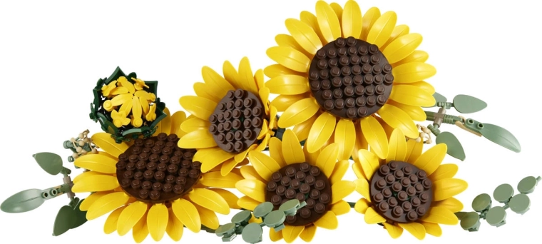 Zes zonnebloemen voor een rijk boeket