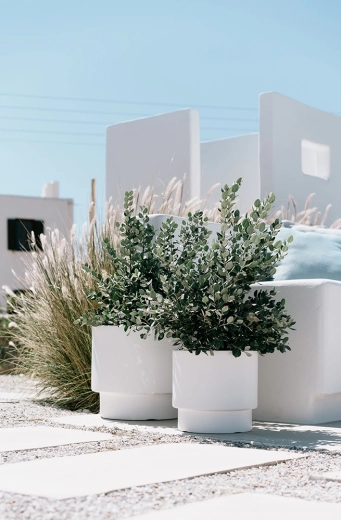 Minimalistisch design dat het groen benadrukt