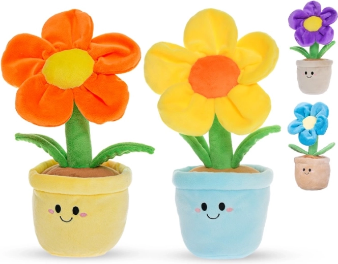 Veilig vanaf de geboorte (0+)