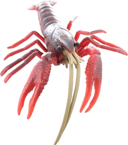 Ideaal formaat voor kinderhanden