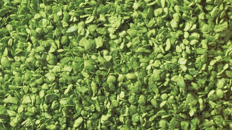 Noch bladerenstrooisel groen