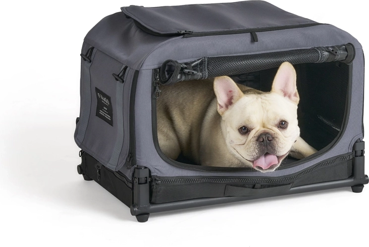Ventilatie, comfortabele instap en een rustige plek voor de hond