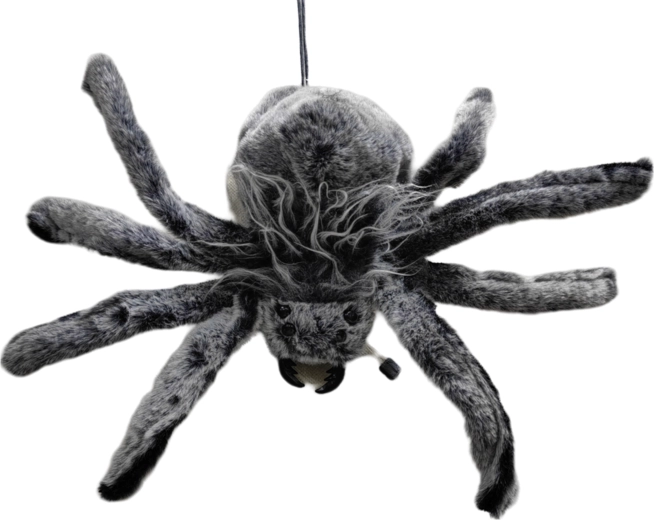 Harige spin als feestdecoratie