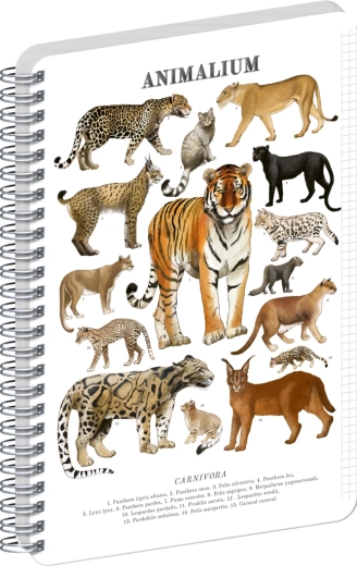 Notique spiraalblok Animalium – katachtigen, A5, ruitjes