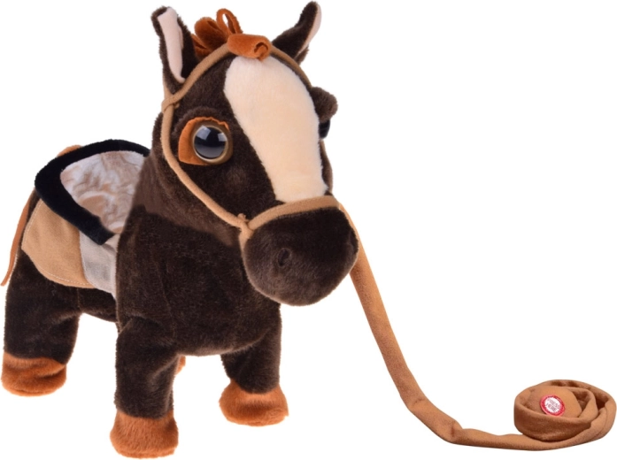 Riem om te leiden en realistisch spel