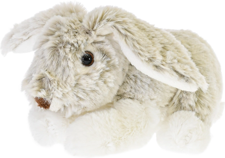 Schattige details en lange oortjes