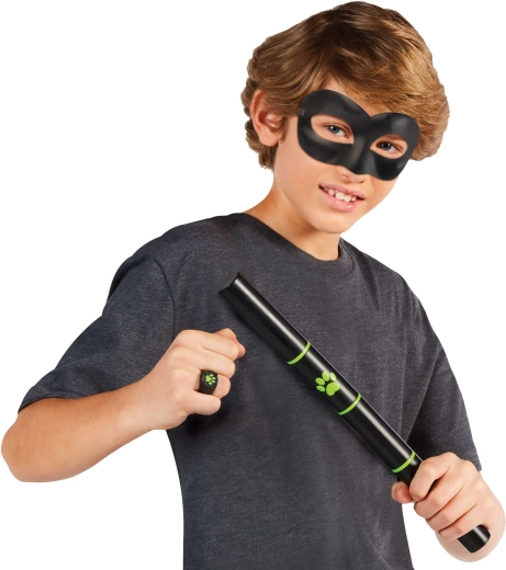 Verander in Cat Noir