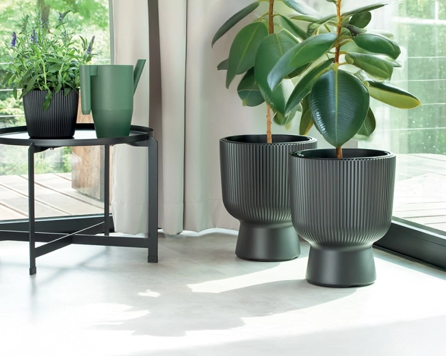 Praktische uitneembare inzet