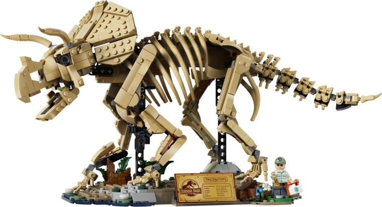 Beweegbaar skelet van een triceratops