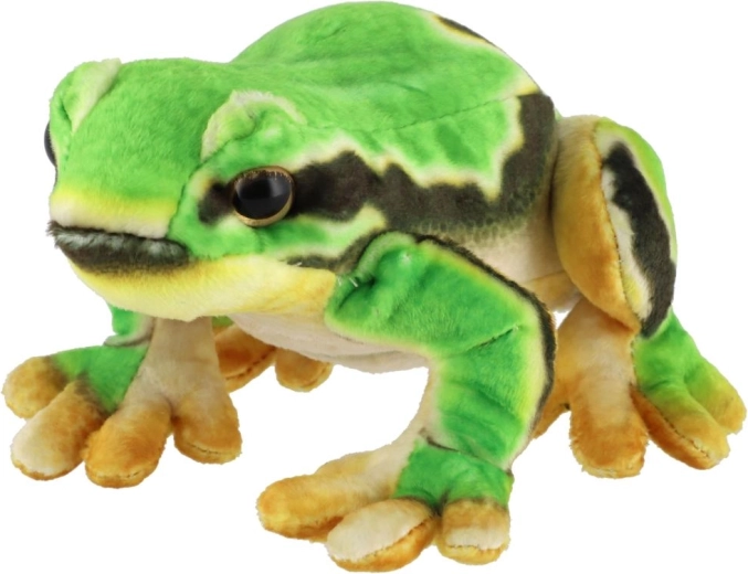 Schattig realistisch uiterlijk
