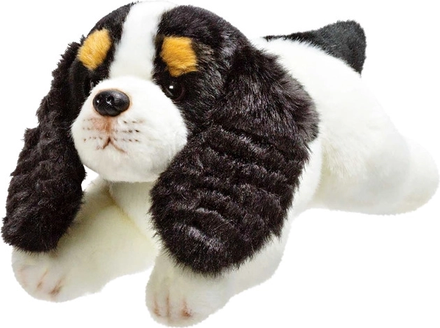 Pluchen hond Cavalier King Charles-spaniël 30 cm