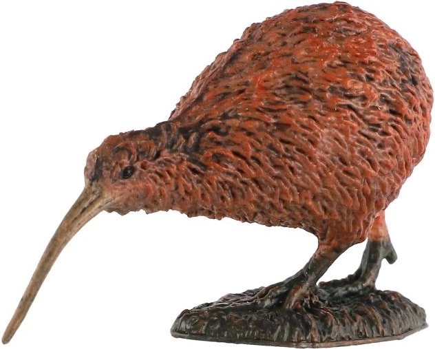 Getrouwe weergave van de kiwi