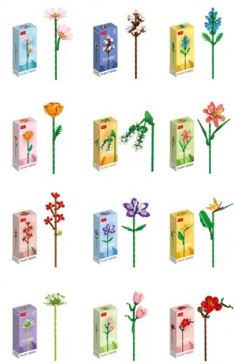 Florist bontgekleurde zomer- en veldbloemen (12 soorten)