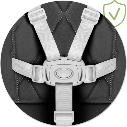 Maximale veiligheid dankzij 5-punts gordels