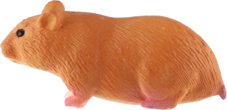 Formaat 6 cm