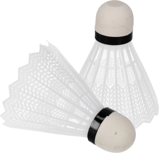Complete badmintonset om direct te spelen