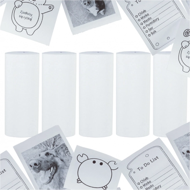 Thermisch papier voor mini-printer 5,7 cm x 4,5 m - 5 stuks