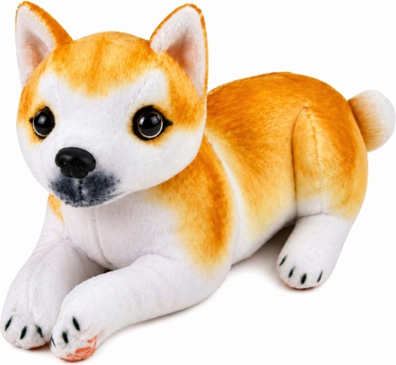 Realistische uitstraling van Shiba Inu