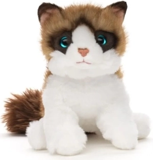 Pluchen Ragdoll-kat 18 cm