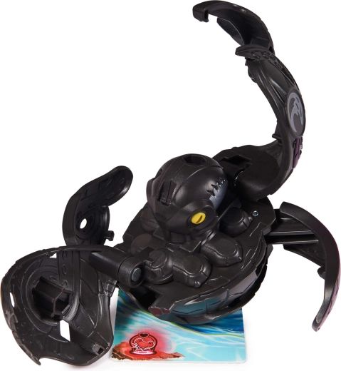 alles wat je nodig hebt voor het spel in de verpakking