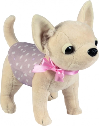 Hondje chihuahua DIDI