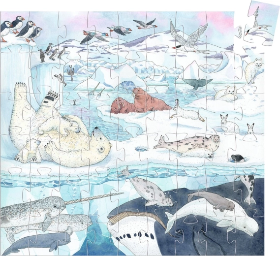 Prachtige illustratie van de poolwereld
