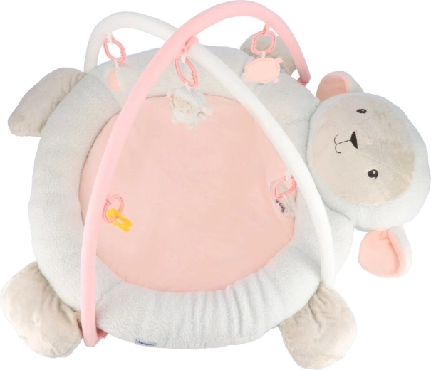 Afneembare speelboog en speeltjes