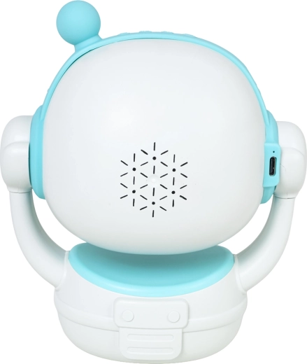 Accu, USB‑C en Bluetooth