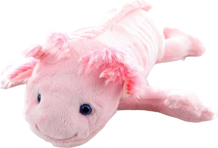 Schattige axolotl-details
