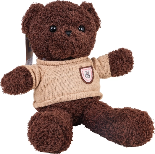 Bruine pluchen teddybeer in een trui