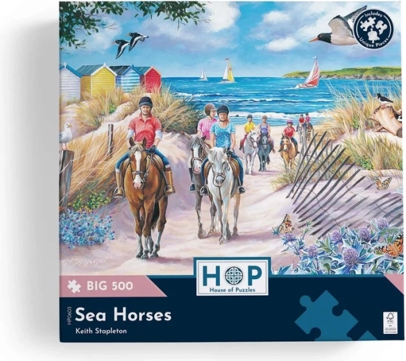 Hoogwaardige uitvoering van House of Puzzles