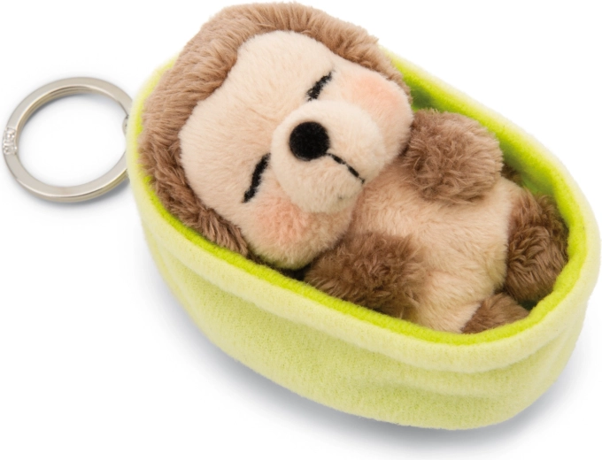 Schattig slapend egeltje altijd bij de hand