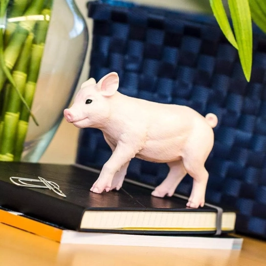 Merk Safari Ltd. – leren door te spelen