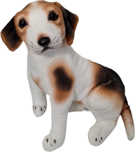 Pluchen hond wit-bruin - 1 stuk